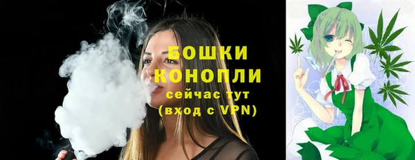 дурь Лабытнанги