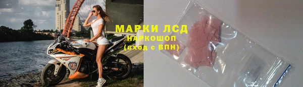 индика Анива