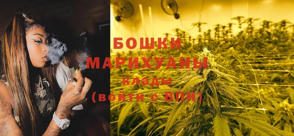 дурь Лабытнанги