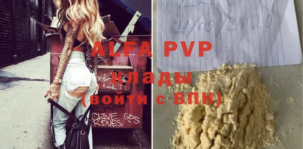 прущие грибы Анжеро-Судженск