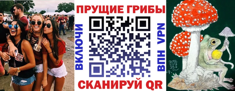 Псилоцибиновые грибы Magic Shrooms  Торопец 